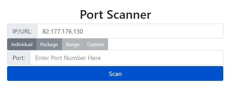 WhatIsMyIP Port Scanner
